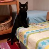 Salem